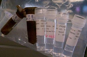 下一個真相  李惠仁在weReport獲贊助