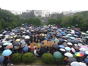 媒體霸凌  只會逼年輕人更警醒