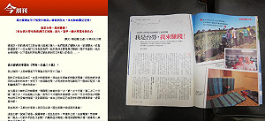 今週刊新版澳洲台勞 「30萬學貸」突不見了