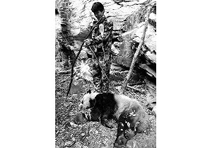 疑似搶媳婦受傷  陝西大熊貓背部長蛆獲救