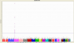 亞洲躁鬱症福音！台灣發現預測鋰鹽藥效基因