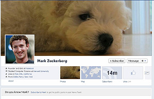 臉書上市第2天  股價大跌11%