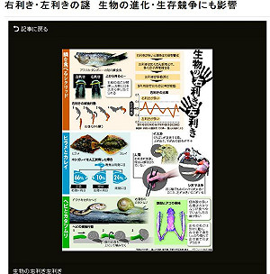 左右撇子 魚蛇蝸牛也有分