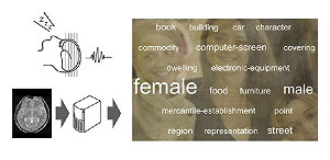 日研究：成功讀取夢境  解讀腦內活動模式