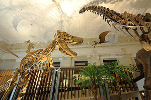 有此一說：恐龍屁引發遠古溫室效應？