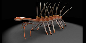 科學家新發現  史前生物怪誕蟲長相揭露