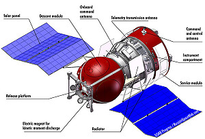 壁虎上太空交配 全部陣亡