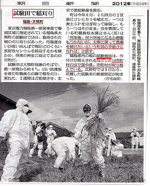 福島試驗稻收成 日網友諷：給擁核者吃