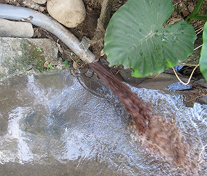 新北鴨血廠偷排廢水  遭罰60萬勒令停工