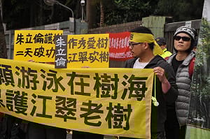 江翠國中亂砍樹  新北勒令停工並求償