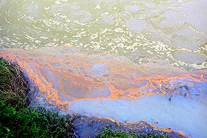 快訊/日月光K7廠  高市環保局勒令停工