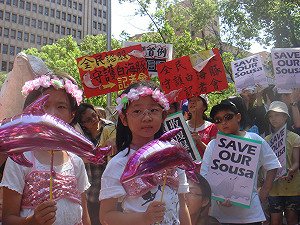 10大環境新聞出爐  白海豚 墨灣漏油奪冠