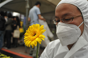 核四公投逕付二讀  環團：將再次上街頭