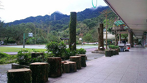 嚴懲不當砍樹  重罰永定國小27萬元