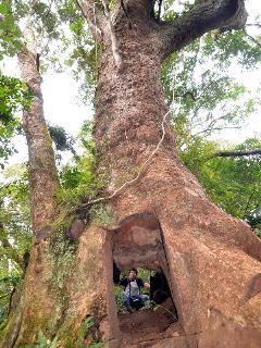 森林法修法 山老鼠最重關10年半