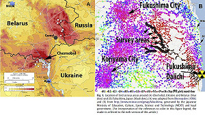 美日學者：核能事故導致鳥類昆蟲異常