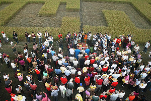 美濃凱稻收割   農民南北串連爭土地正義