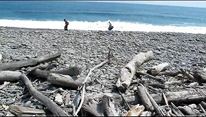 屏縣府公告  阿塱壹古道保留至明年初