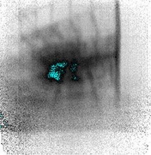 日研發宇宙線技術  可望用於透視福島核廠