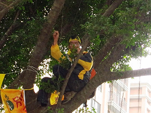 探視江翠護樹成員  反遭警方帶回