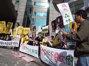 江翠居民護老樹  點名4議員負責