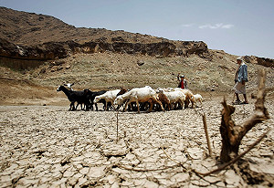 糧農組織歐盟攜手 4100萬歐元抗荒漠化