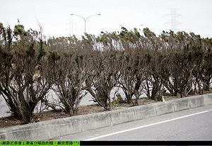 反國光部落客出手  自費體驗六輕的「美」