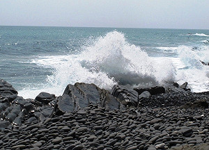 專家：海平面上升無法阻止  但能減緩