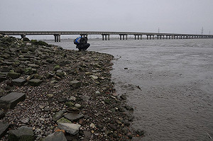 環團踢爆  戴奧辛污染大肚溪口