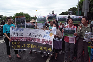 護樹媽媽上凱道 反對江翠移老樹