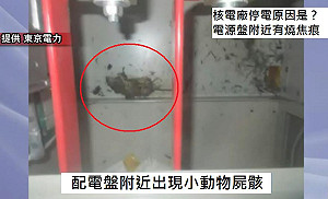 日原子能學會為福島核電事故謝罪