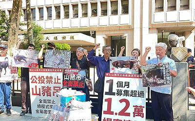 募1.2萬份提案書!動保團體再提「禁山豬吊」公投 籲中選會依法受理勿再阻擋