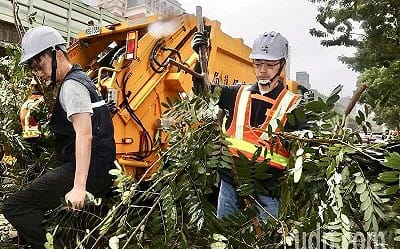 PO蔣萬安清路樹照 王鴻薇嘆:網路造謠已造成市民危害