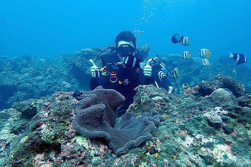 屏東有多美!韓國歐巴帶路上山下海一路飆玩