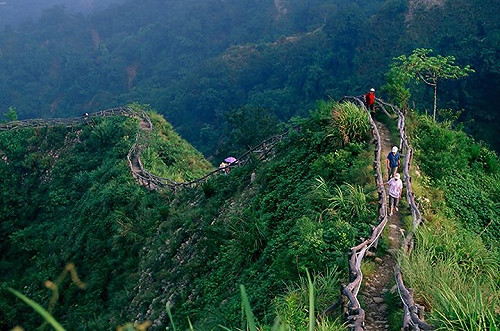 改道走別條路！大坑1號步道維修封閉至5/31