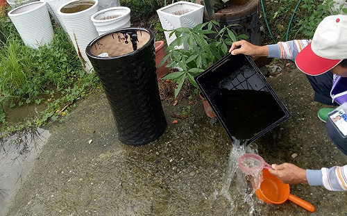 災後環境整理小撇步  衛生局：清潔劑可自製