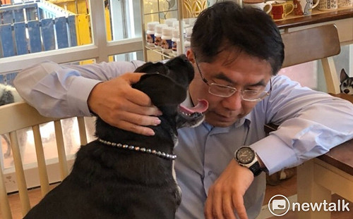 友善對待毛小孩  黃偉哲要讓流浪動物「三溫暖」
