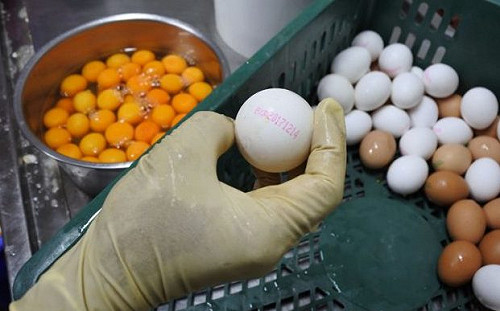 毒蛋竄台遭下架！ 全聯：消費者可持發票和實品退換貨