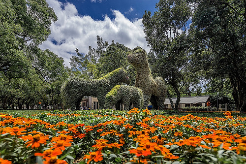 花博開幕首日湧入三萬人！林佳龍發表「花博宣言」
