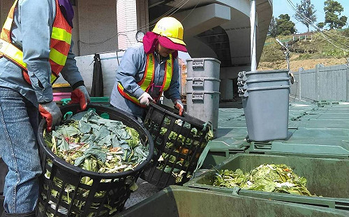 飼料養豬廚餘該去哪？環保局：焚化爐可處理