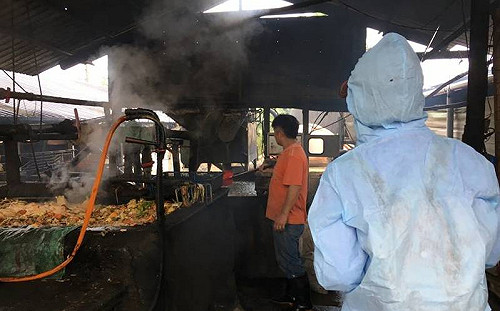 環保署列管豬場可廚餘餵養　豬農痛批：農委會卸責？