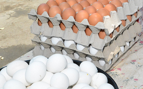 避免毒蛋竄台！8月起進口蛋須附官方食安證明