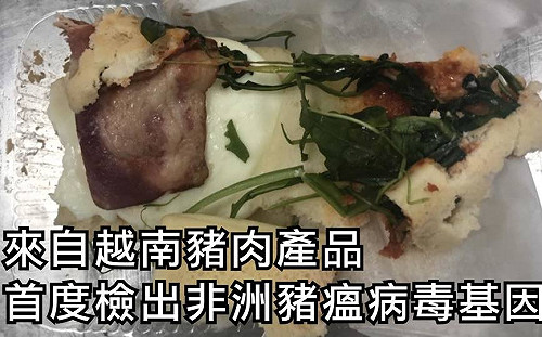 直播現場》越南肉品首度驗出非洲豬瘟 應變中心緊急召開記者會說明