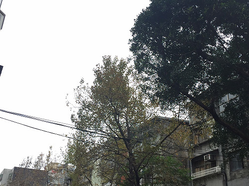 雨具絕不要離身！東北季風影響  今天氣仍不穩定