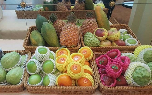 讀者投書》建立制度來支持農產外銷 才是治本之道