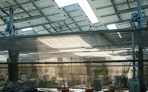 要求農民裝設光電板20年內需養雞豬？農委會這樣說