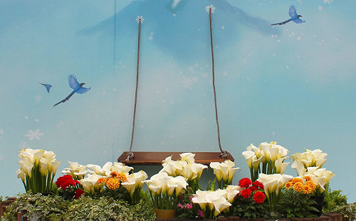 快門按不停！「竹子湖海芋季」花藝設計超美麗