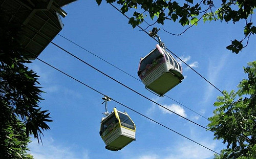 貓纜開一半怎麼不動了！北捷急換CPU、重置系統已復駛