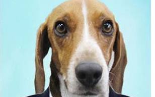 沒梗了？防檢局愚人節不整人 背後原因竟是這樣