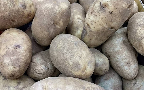 綠色馬鈴薯就是有毒？食藥署告訴你真相